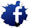 facebookIcon